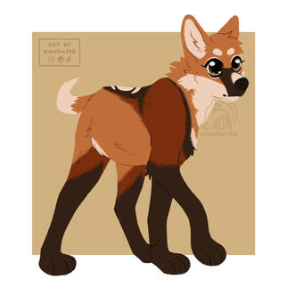 lineless full body